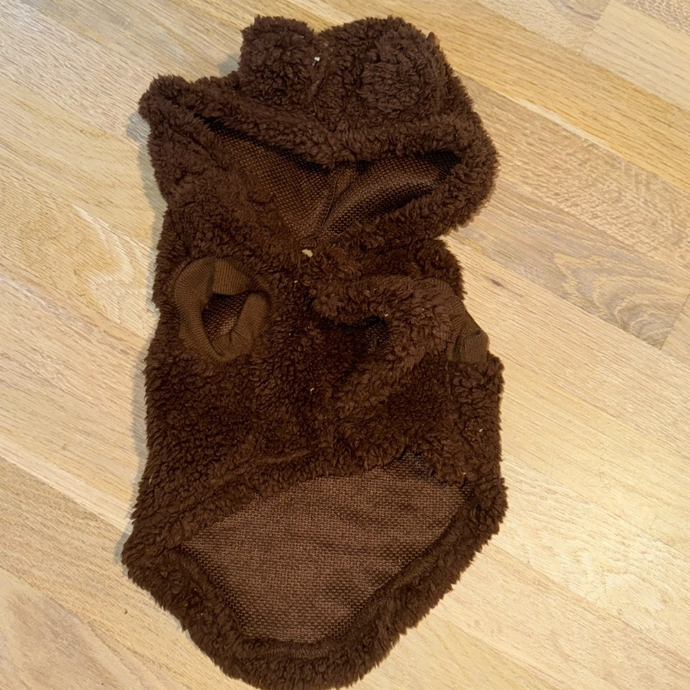 GRAYSON PUP THE LABEL BEAR 🐻 DOG SWEATER